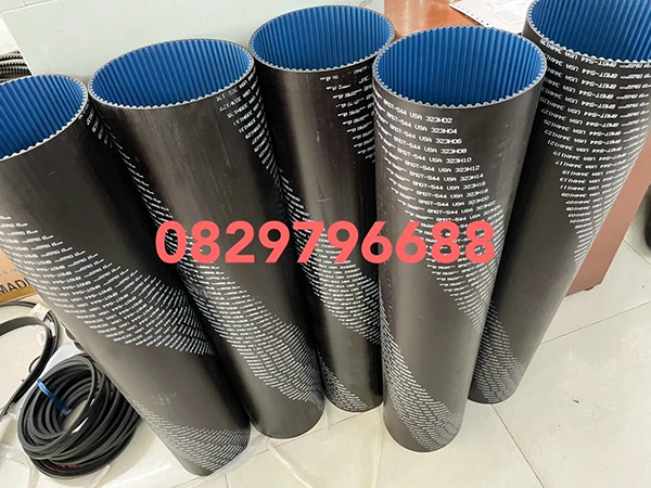 Dây curoa Gates Polychain 544-8MGT - Xương Đại BELTS - Công Ty TNHH Thương Mại Xương Đại